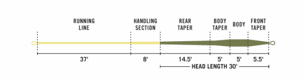 RIO Creek Fly Line Floating Profile RIO Creek Fly Line Floating Profile